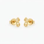 Aretes gato 