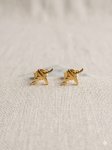 Aretes Picos